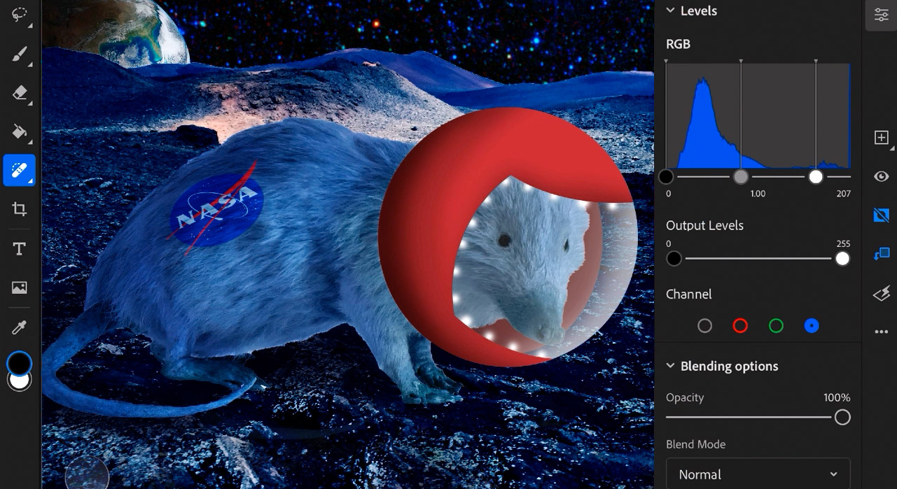 A screenshot of the example image created in the video for Photoshop for iPad